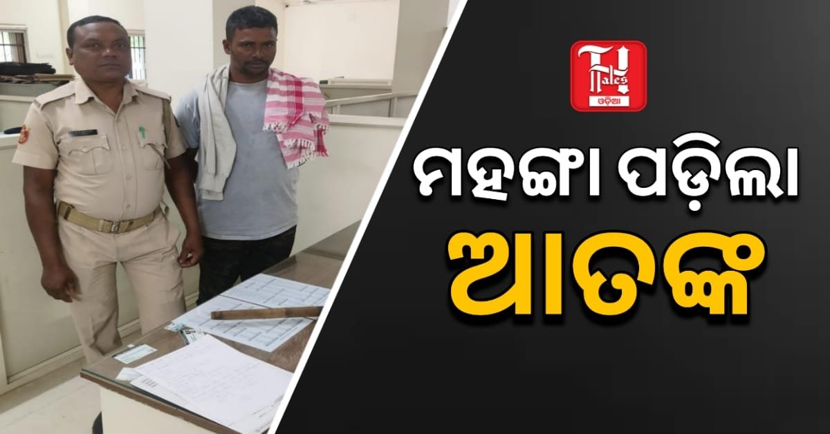 ଅନ୍ଧାରୁଆରେ ଆତଙ୍କ ସୃଷ୍ଟି କରି ବନ୍ଧା ହେଲେ ଯୁବକ