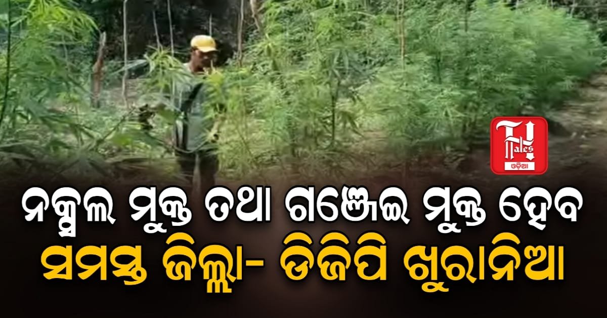 ନକ୍ସଲ ମୁକ୍ତ ତଥା ଗଞ୍ଜେଇ ମୁକ୍ତ ହେବ ସମସ୍ତ ଜିଲ୍ଲା