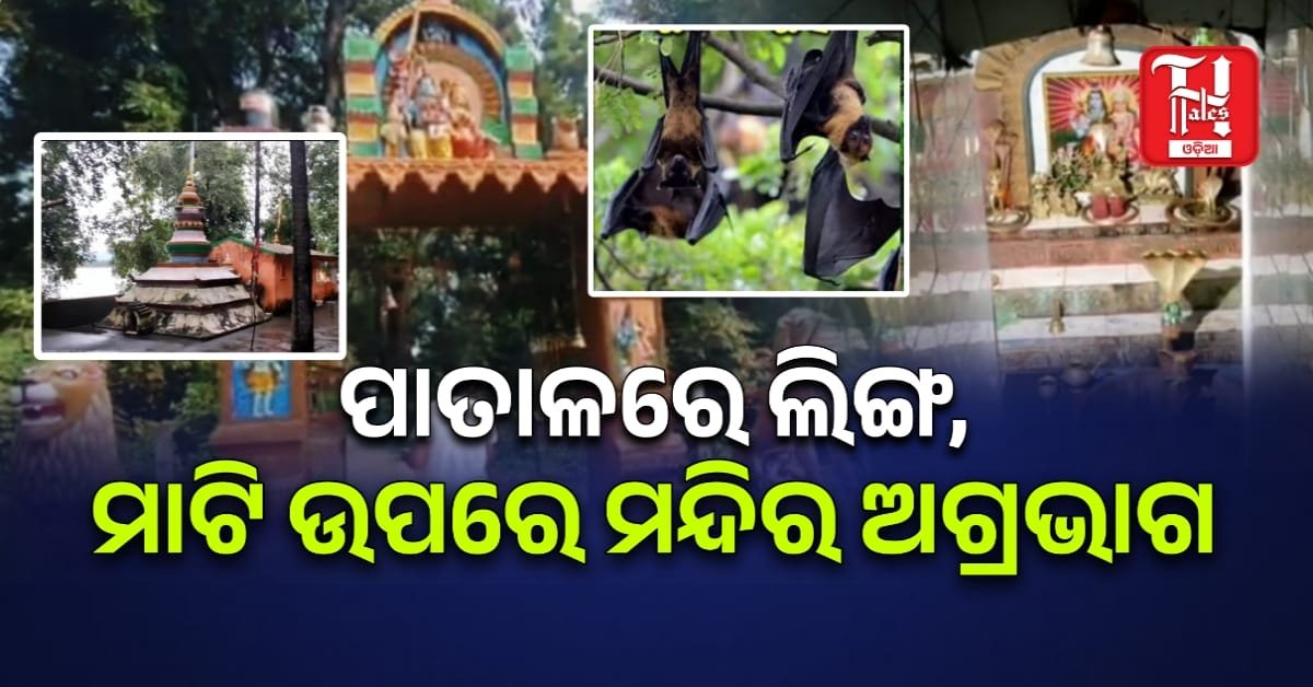 ମନ ମୋହୁଛି ଜଗନ୍ନାଥ ବନ ପ୍ରକଳ୍ପ