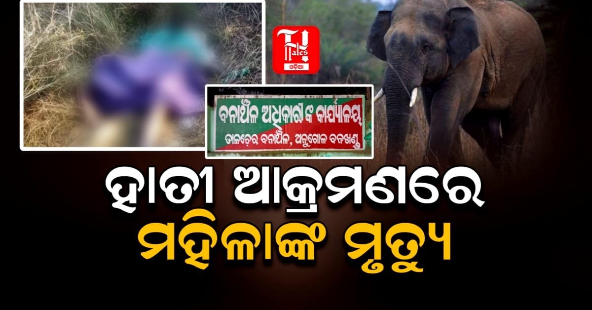 ବନ ବିଭାଗର ଅପାରଗତା ଯୋଗୁଁ ହାତୀ ଆକ୍ରମଣରେ ମହିଳାଙ୍କ ମୃତ୍ୟୁ