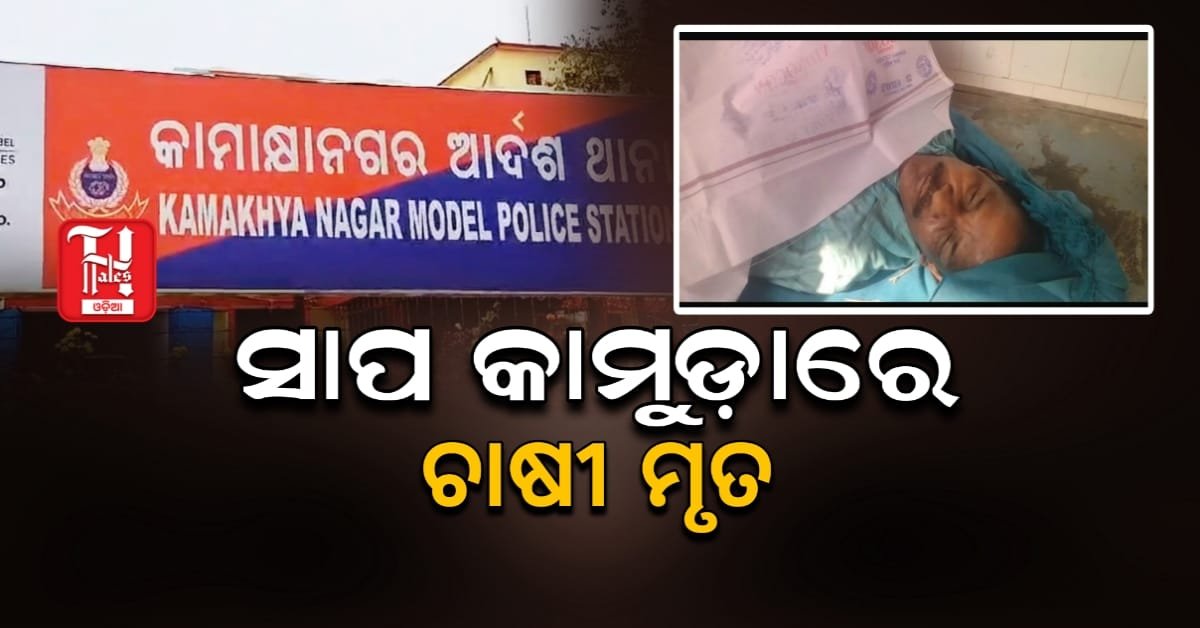 ଧାନ କାଟୁଥିବା ବେଳେ ସାପ କାମୁଡ଼ାରେ ଚାଷୀ ମୃତ, ଗାଁରେ ଶୋକର ଛାୟା