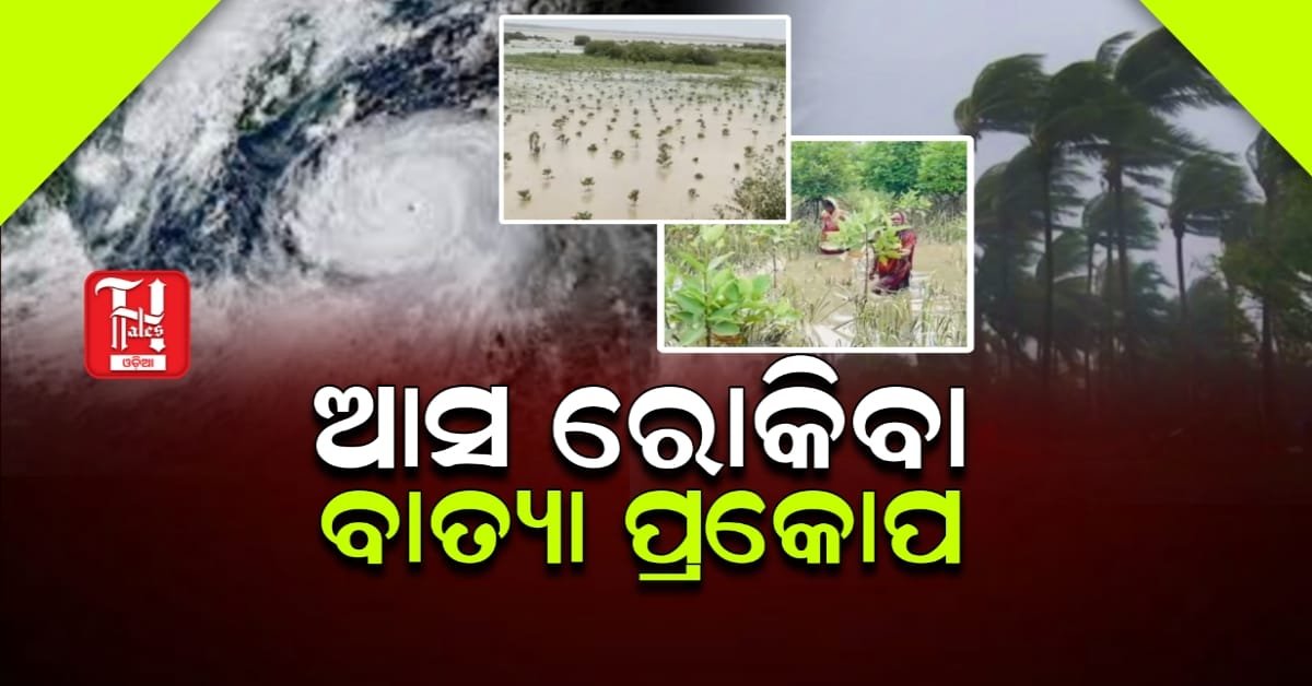 ଝଡ଼ ବାତ୍ୟା ରକିବାକୁ କବଚ ତିଆରି କରୁଛନ୍ତି ମହିଳା