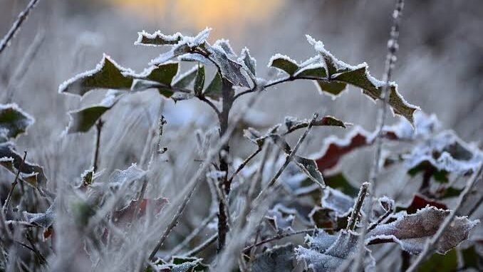 ଶୀତ ଲହରୀରେ ଥରୁଛି ଓଡ଼ିଶା: ଜନଜୀବନ ଅସ୍ତବ୍ୟସ୍ତ, ୩ ଡିଗ୍ରୀ ତଳକୁ ଖସିଲା ତାପମାତ୍ରା