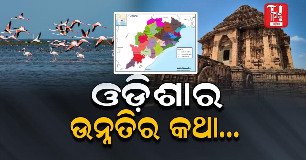 Odisha 2025: ଓଡ଼ିଶାର ପରିବର୍ତ୍ତନର ବର୍ଷ, "ରଥଯାତ୍ରାରୁ AI ଷ୍ଟାର୍ଟଅପ୍, ସୋଲାର ପାର୍କ "