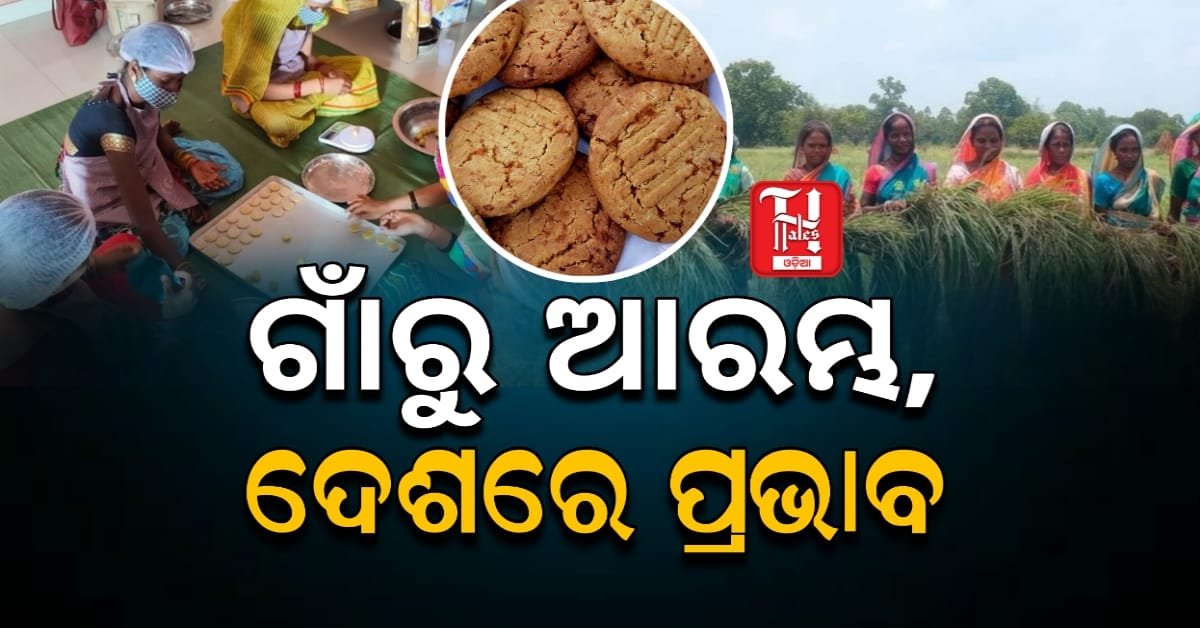 Odisha’s Green Revolution: ସାଧାରଣ ଲୋକଙ୍କ ହାତରେ ଉନ୍ନତିର ଶକ୍ତି, ଗ୍ରାମରୁ ଆରମ୍ଭ ପରିବର୍ତ୍ତନର ଅଧ୍ୟାୟ