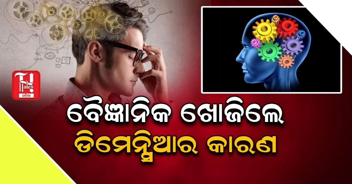 ଡିମେନ୍ସିଆ ପ୍ରତିରୋଧରେ ନୂତନ ଆଶା: ଗବେଷଣାରୁ ଜଣାପଡ଼ିଲା 2 ପ୍ରମୁଖ କାରଣ