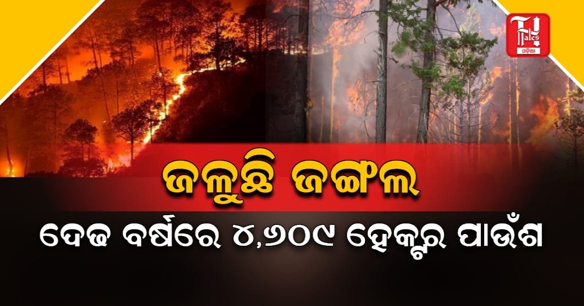 ଜଙ୍ଗଲ ନିଆଁରେ ଲାଗୁନି ବ୍ରେକ୍, ୧୭ ମାସରେ ଜଳିଗଲାଣି ୪ ହଜାର ୬୦୯ ହେକ୍ଟର