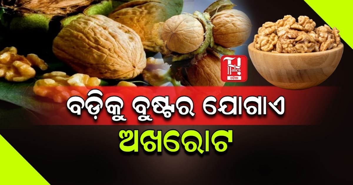 Health Tips: ସ୍ୱାସ୍ଥ୍ୟ ପାଇଁ ଅମୃତ ସଦୃଶ ଅଖରୋଟ, ଏହି ସବୁ ରୋଗରୁ କରେ ରକ୍ଷା