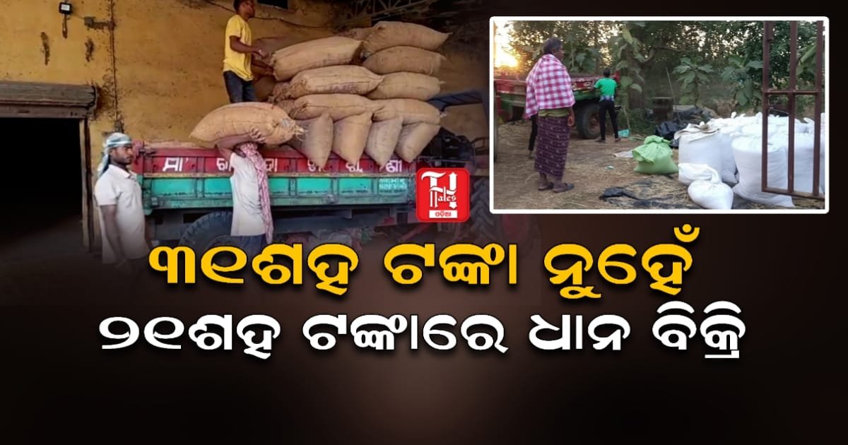 ମିଲରଙ୍କ ଲାଭ ଖୋର୍ ମନୋବୃତି, ଦଲାଲଙ୍କୁ ମାଧ୍ୟମ କରି ଆଗୁଆ କିଣୁଛନ୍ତି ଧାନ