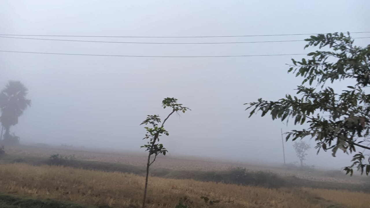 ରାଜ୍ୟରେ ଜାରି ରହିଛି ହାଡ଼ଭଙ୍ଗା ଶୀତ: ୮ ସହରର ତାପମାତ୍ରା ୧୦ ଡିଗ୍ରୀ ତଳେ, ୩ ଜିଲ୍ଲାକୁ ଘନ କୁହୁଡ଼ି ପାଇଁ 'ୟେଲୋ ଓ୍ୱାର୍ନିଂ'